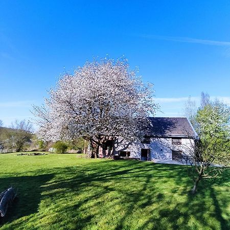 Gerestaureerde Hoeve Met Zicht Durbuy Exteriér fotografie