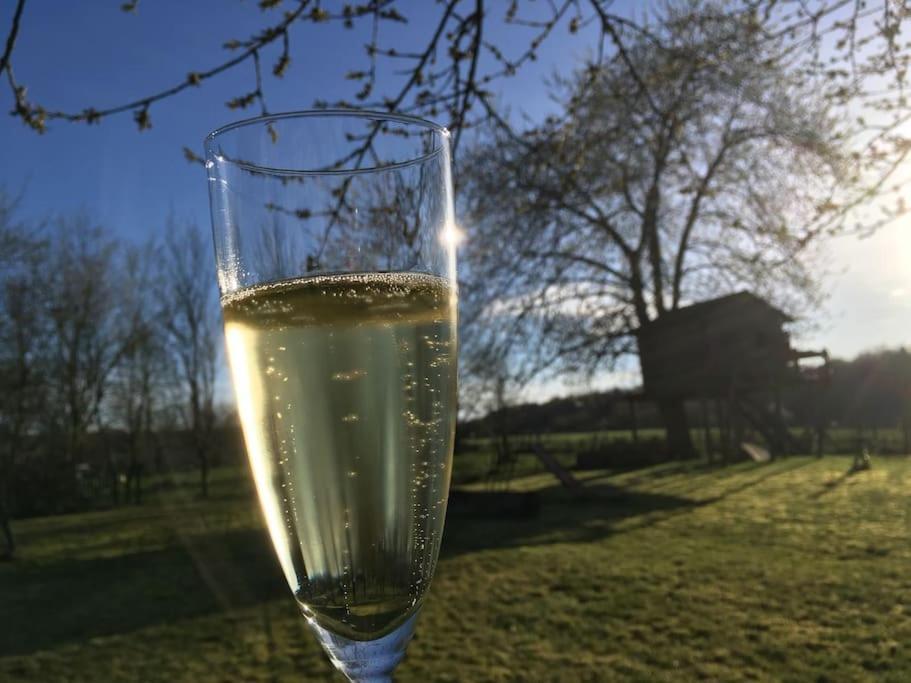 Gerestaureerde Hoeve Met Zicht Durbuy Exteriér fotografie