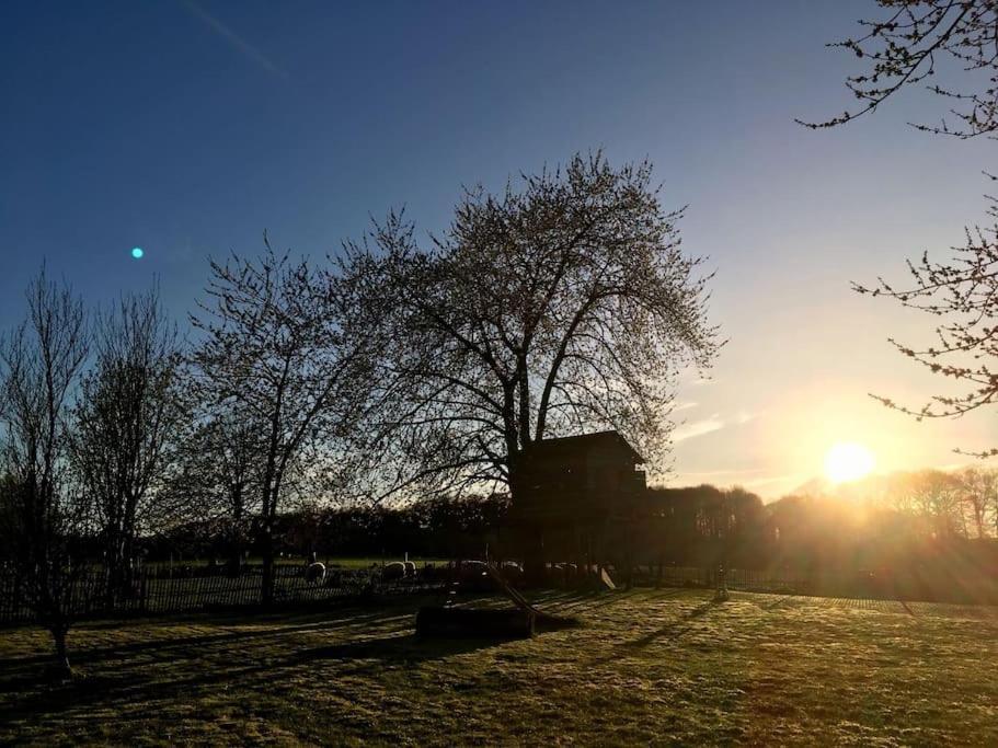 Gerestaureerde Hoeve Met Zicht Durbuy Exteriér fotografie