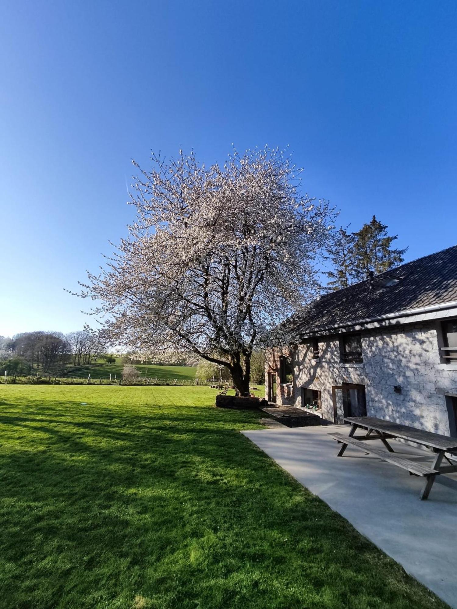 Gerestaureerde Hoeve Met Zicht Durbuy Exteriér fotografie